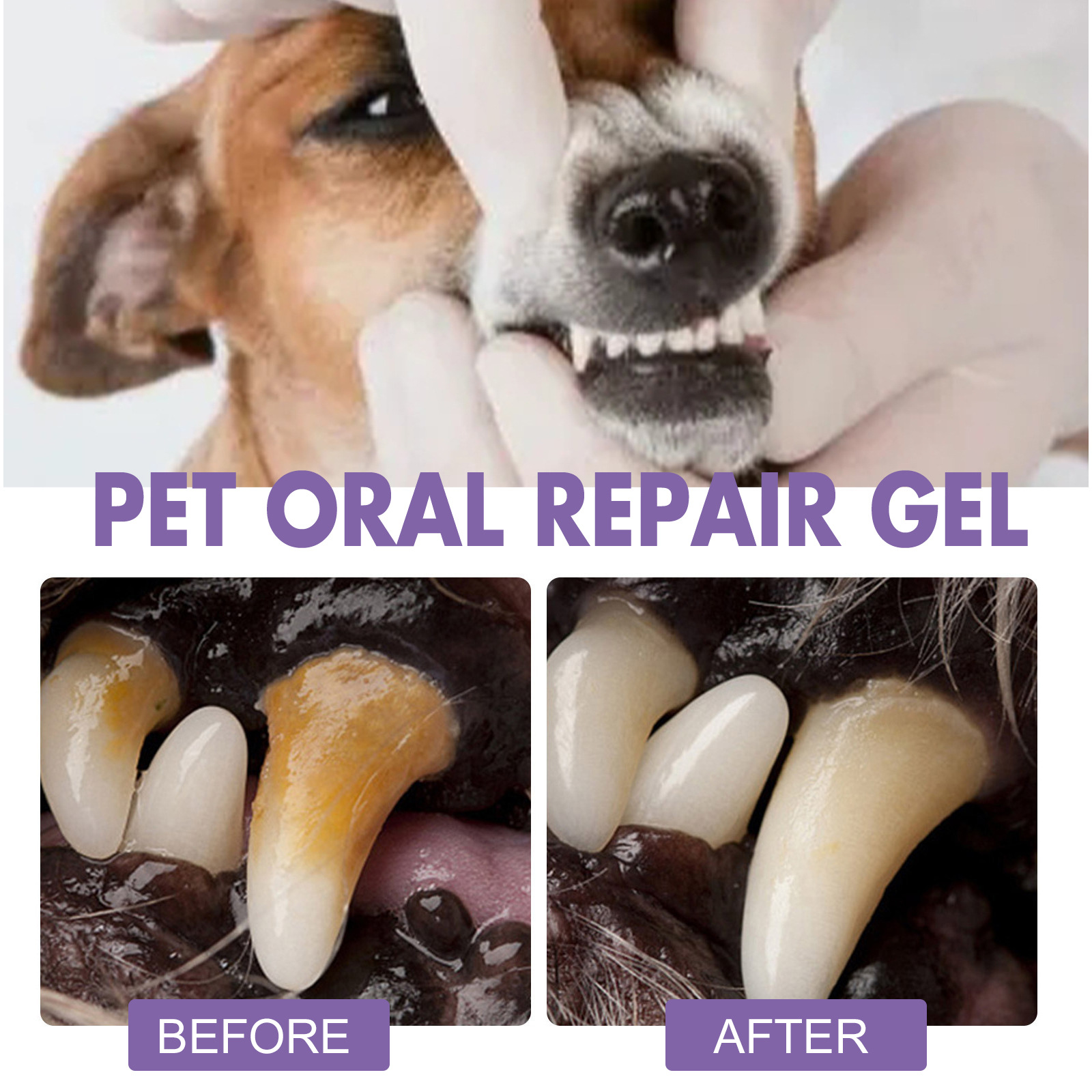 Pet Oral Repair Gel Puppy Tart - đánh giá và giá Teeth Whitening Before And After