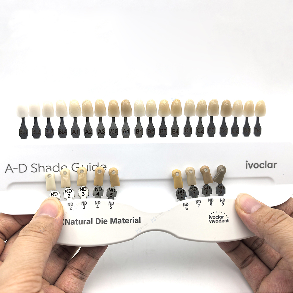 Ivoclar Dental Shade Guide Cro - đánh giá và giá Teeth Whitening Shade Guide