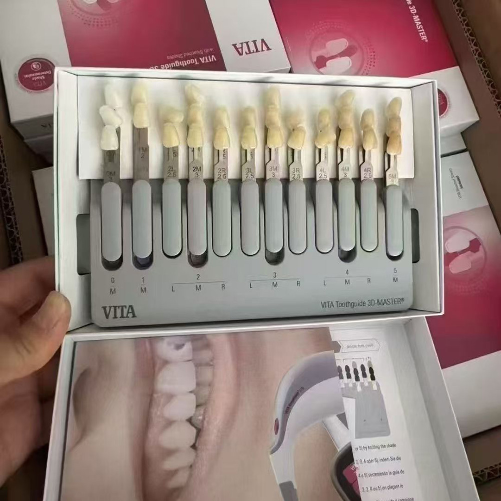 4 Models VITA Toothguide Denta - đánh giá và giá Teeth Whitening Shade Guide