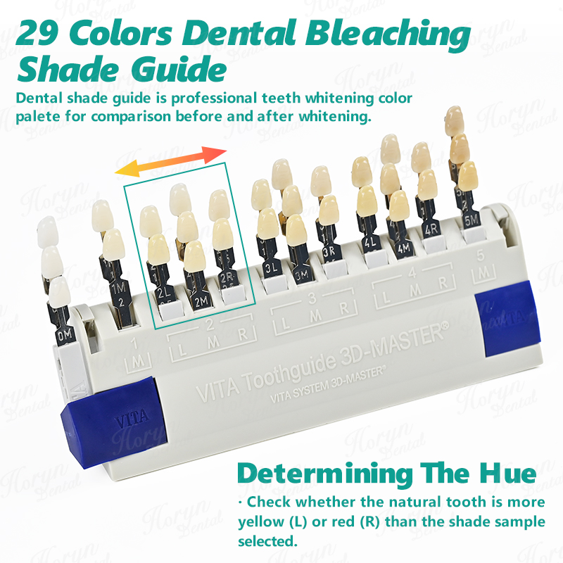 Vita 3D Master Dental Lab Blea - đánh giá và giá Teeth Whitening Shade Guide
