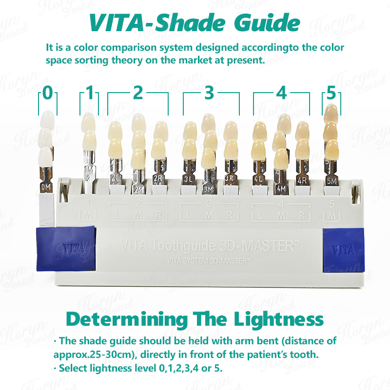 Vita 3D Master Dental Lab Blea - đánh giá và giá Teeth Whitening Shade Guide