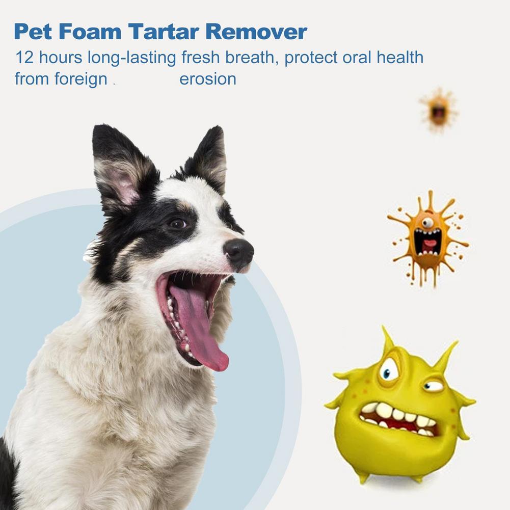 60ml Pet Oral Care Foaming Cle - đánh giá và giá Teeth Whitening Foam