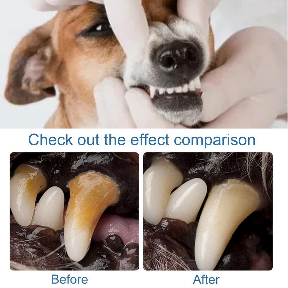 60ml Pet Oral Care Foaming Cle - đánh giá và giá Teeth Whitening Foam